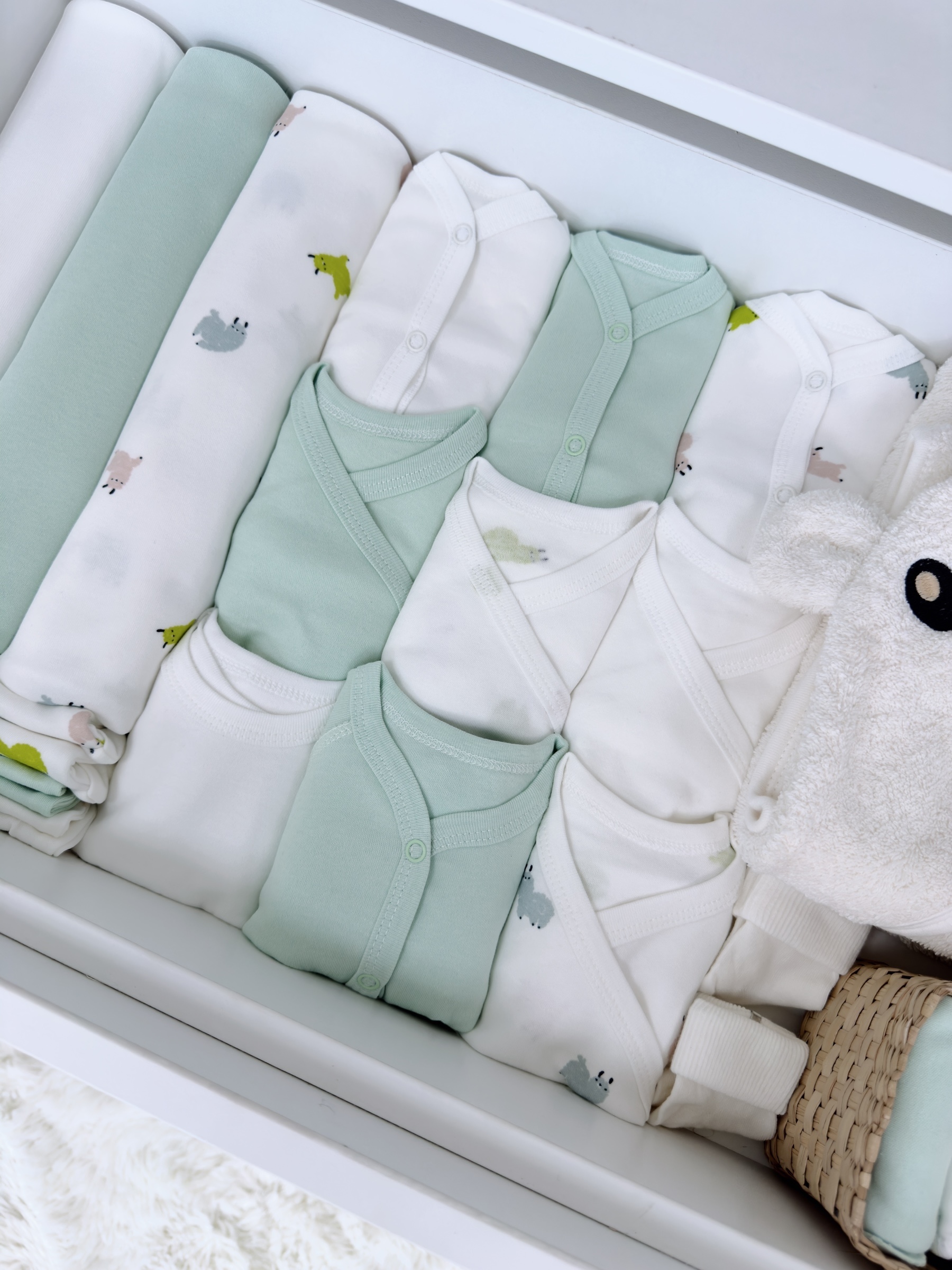 Photoroom_002_20250820_113311