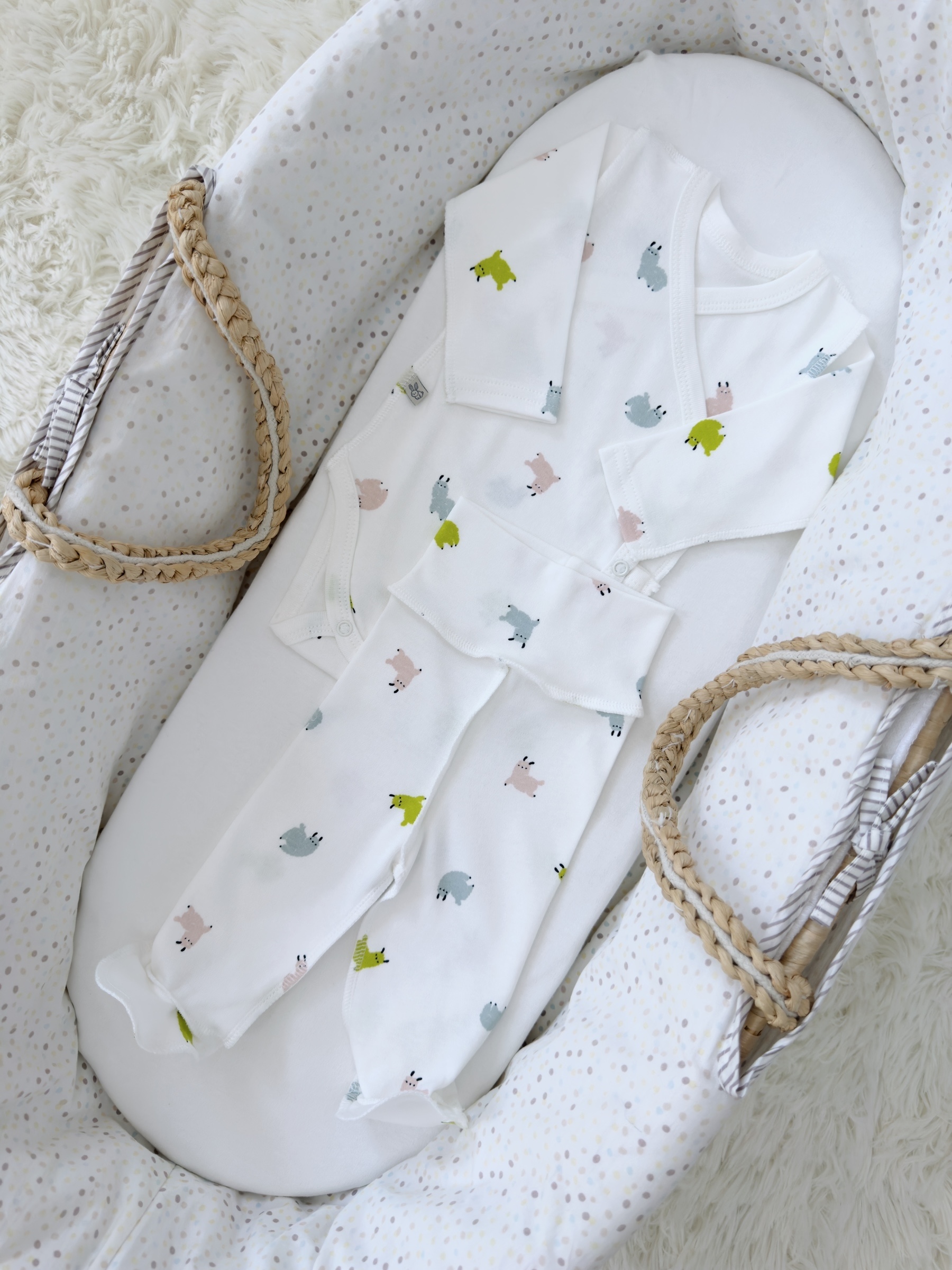 Photoroom_004_20250820_105249