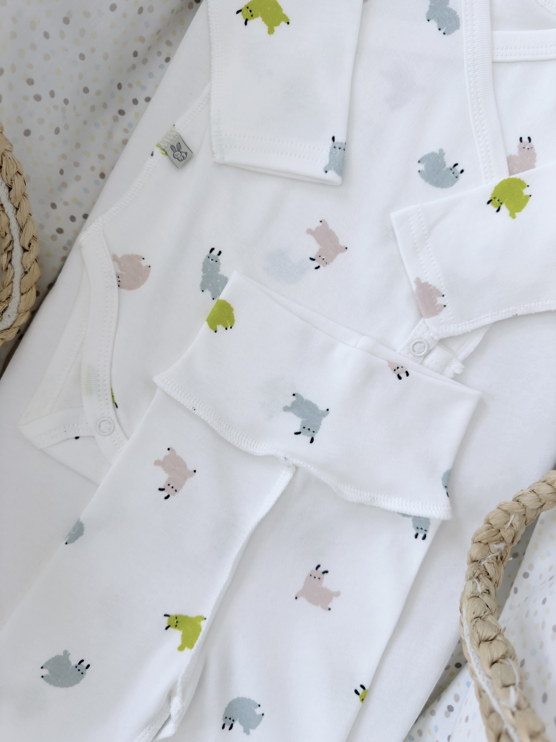 Photoroom_005_20250820_105249