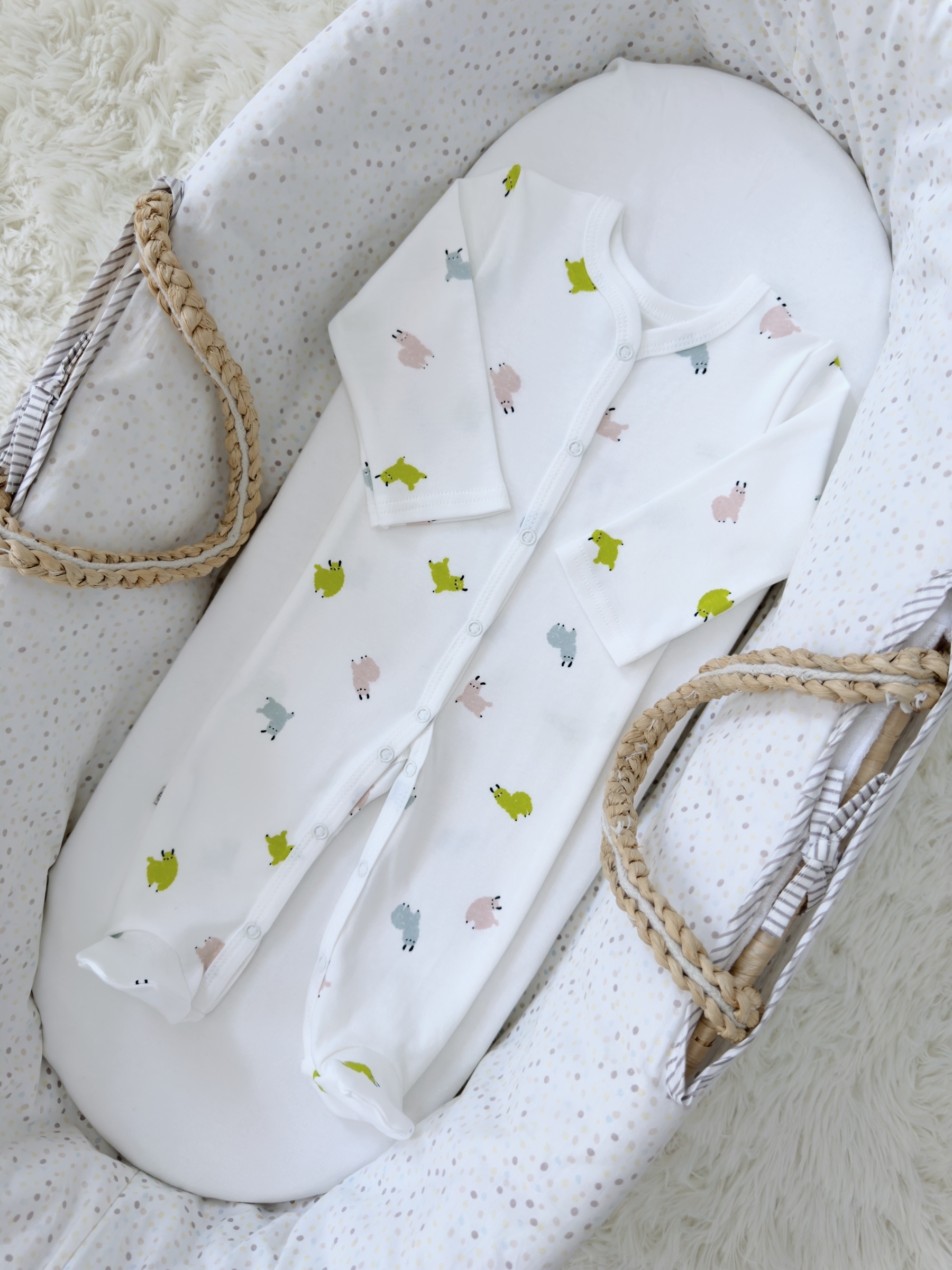 Photoroom_006_20250820_105249 (1)