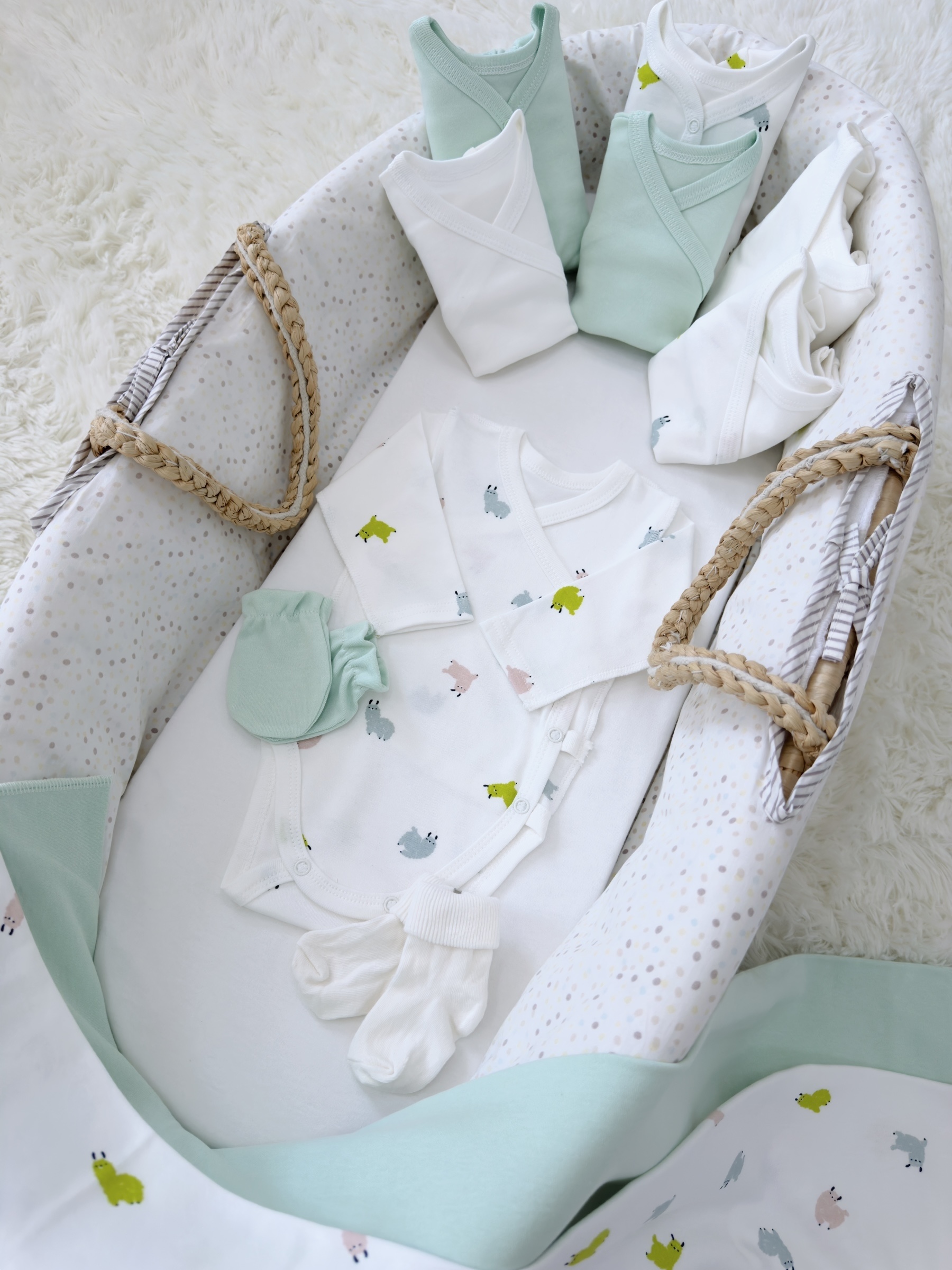 Photoroom_011_20250820_105249