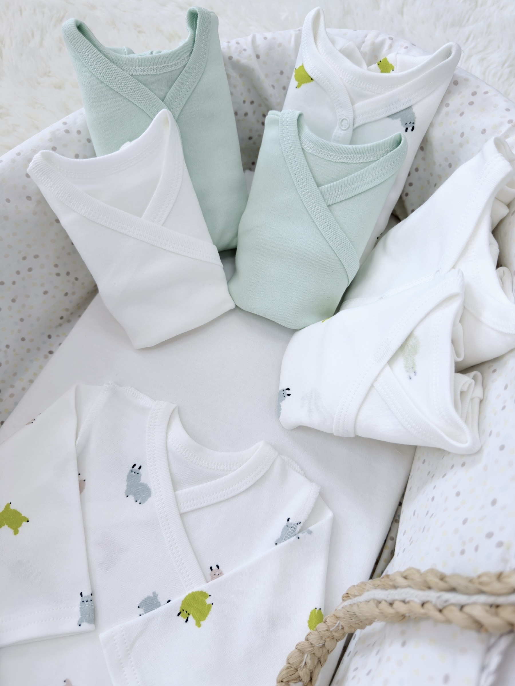 Photoroom_012_20250820_105249