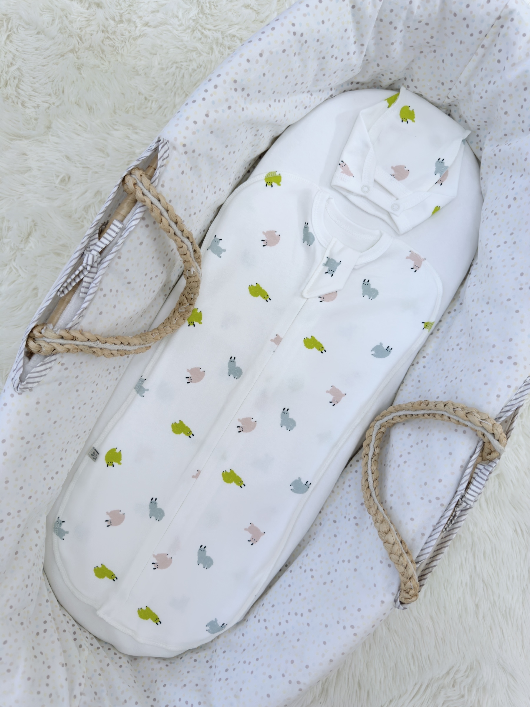 Photoroom_000_20251016_093300