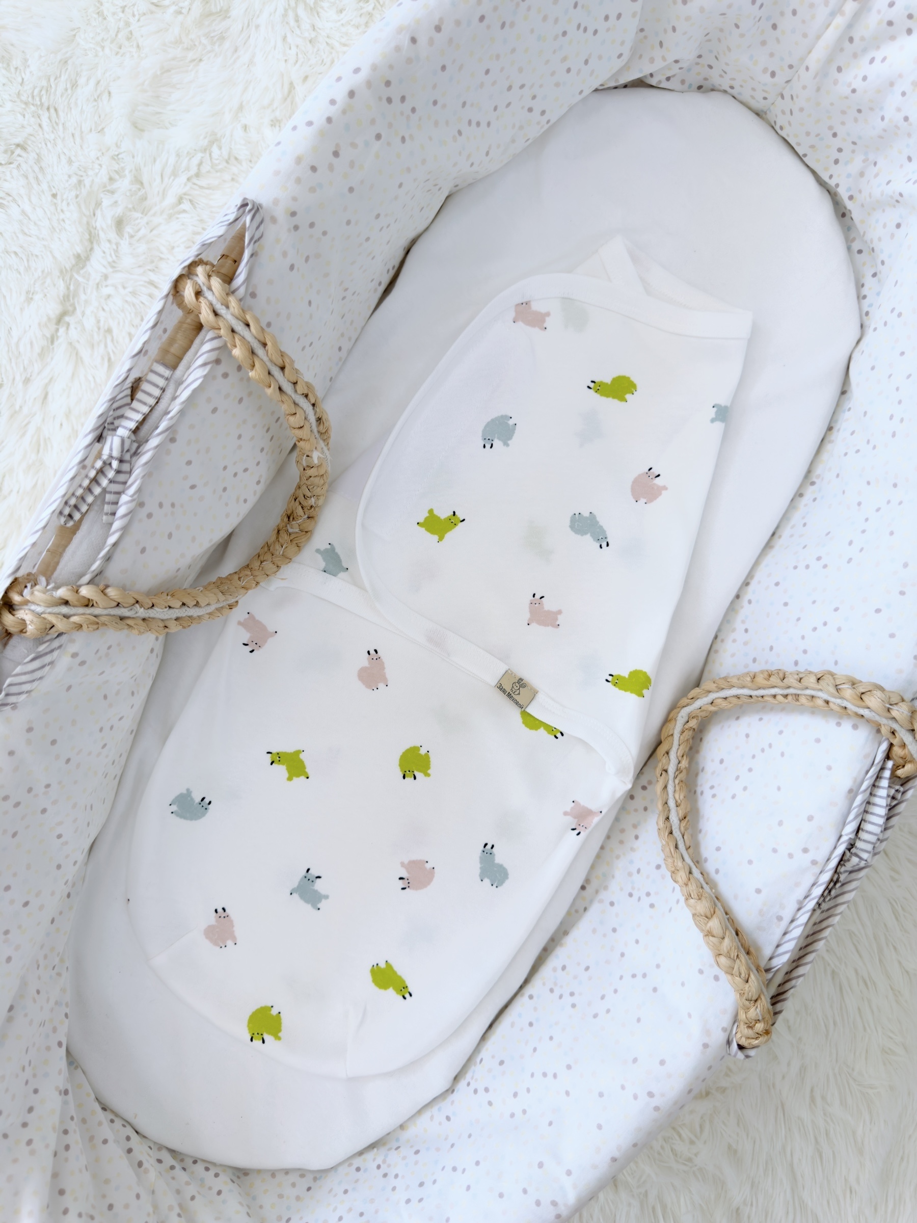 Photoroom_000_20251028_142116