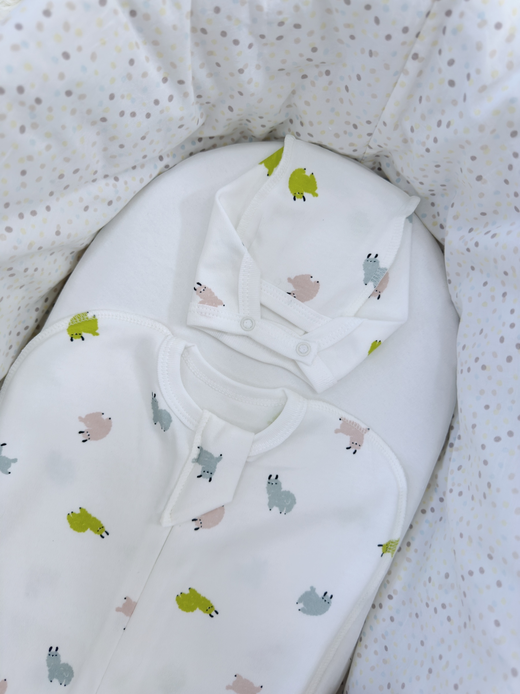 Photoroom_001_20251016_093300