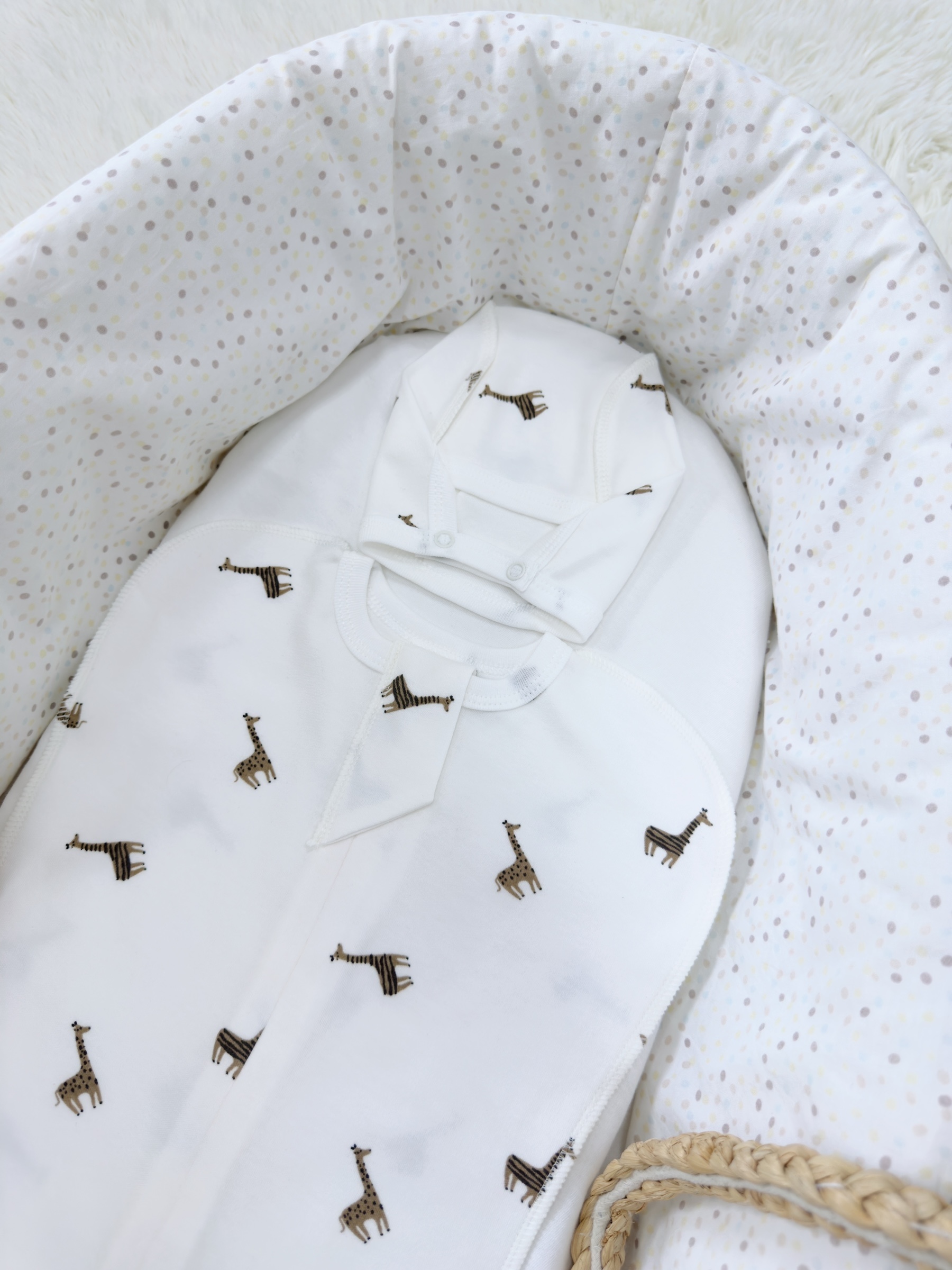 Photoroom_001_20251016_093513