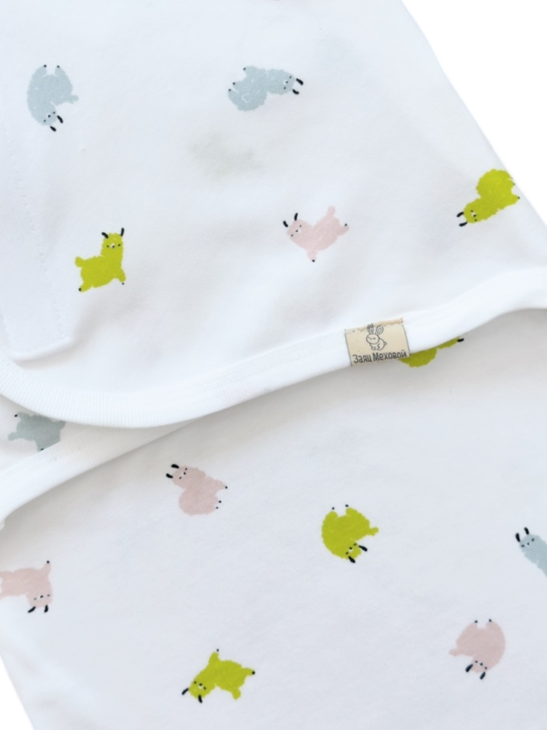 Photoroom_006_20250805_111017