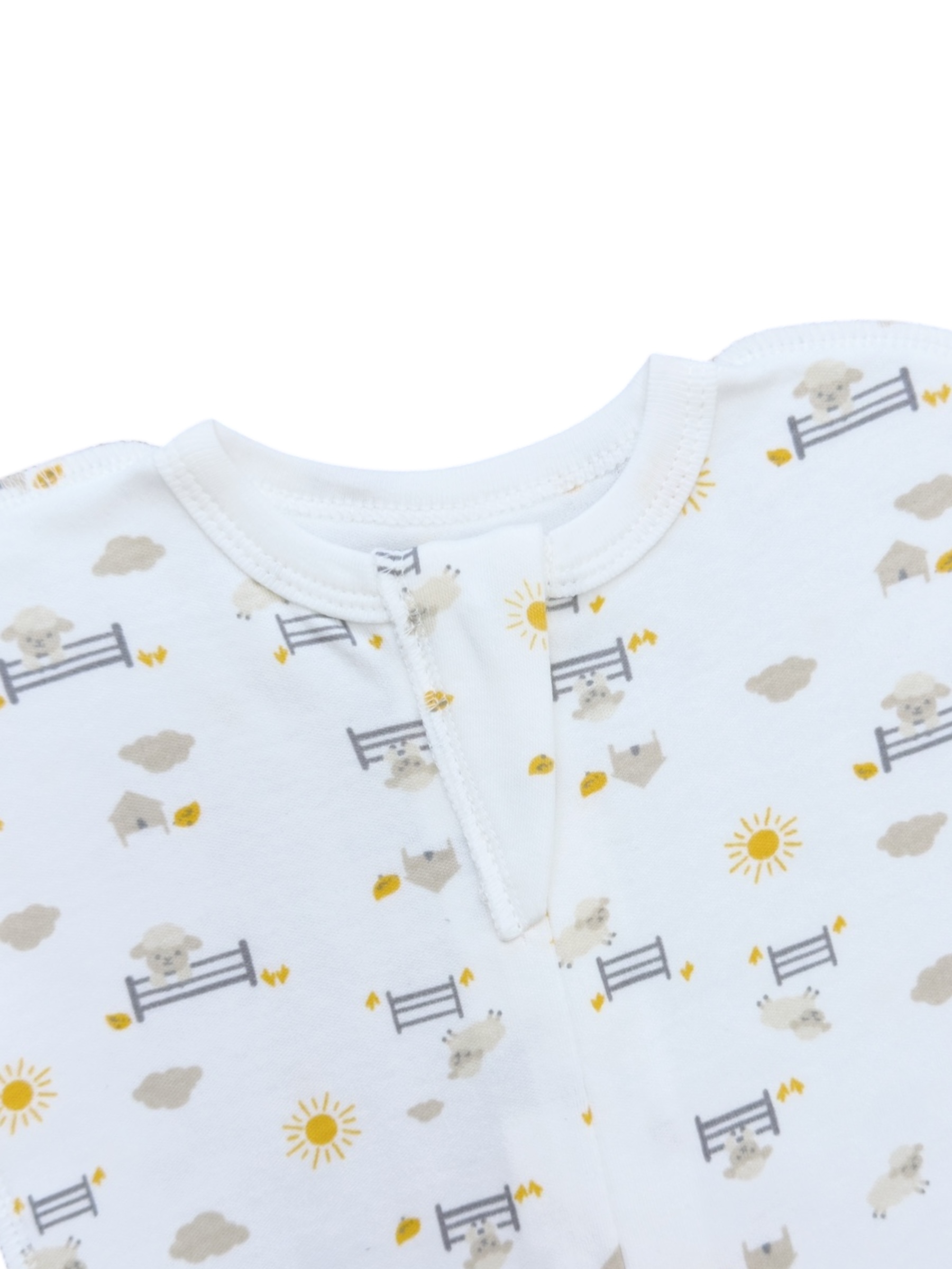 Photoroom_010_20250805_134405