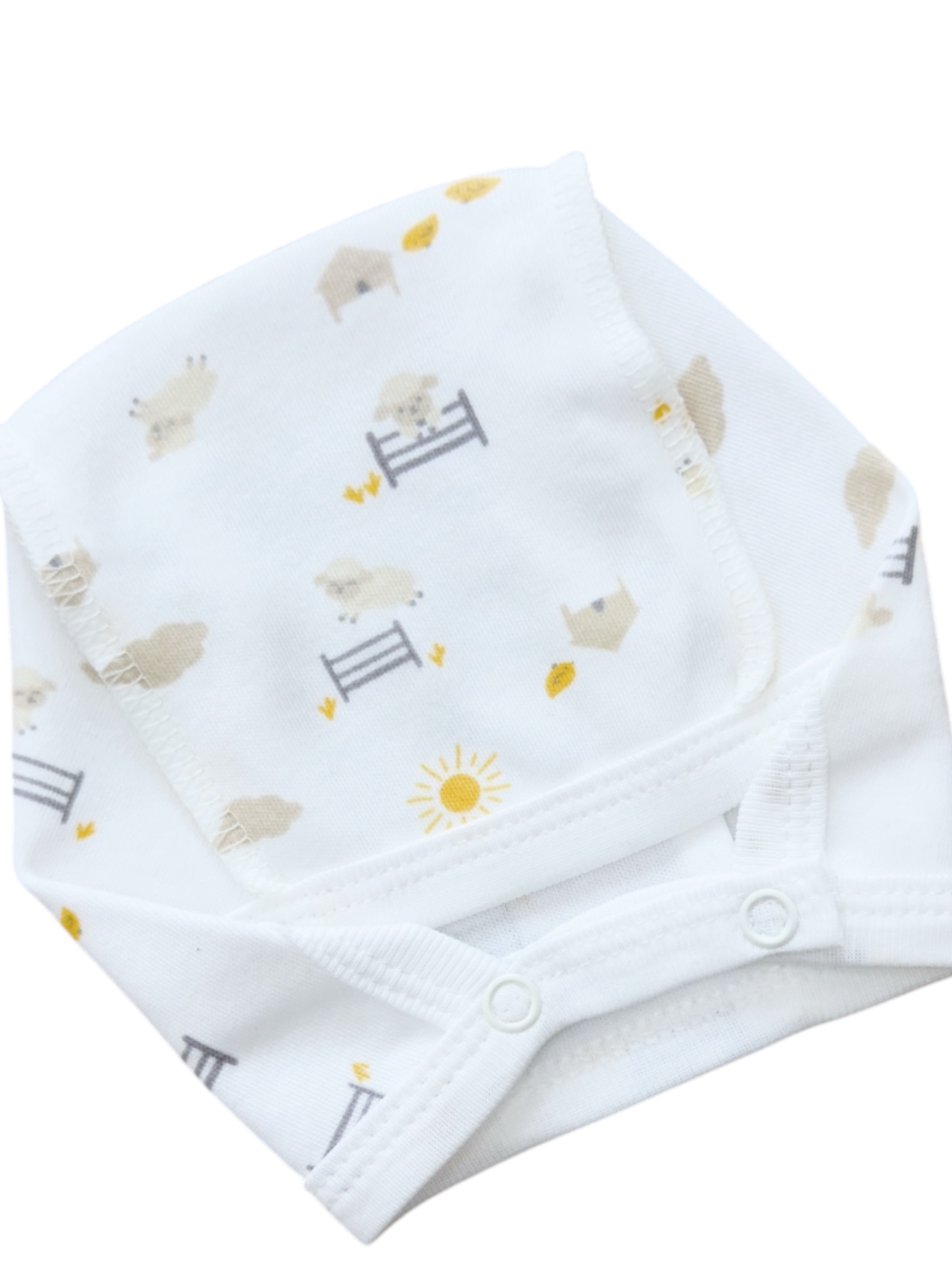 Photoroom_20250731_115421