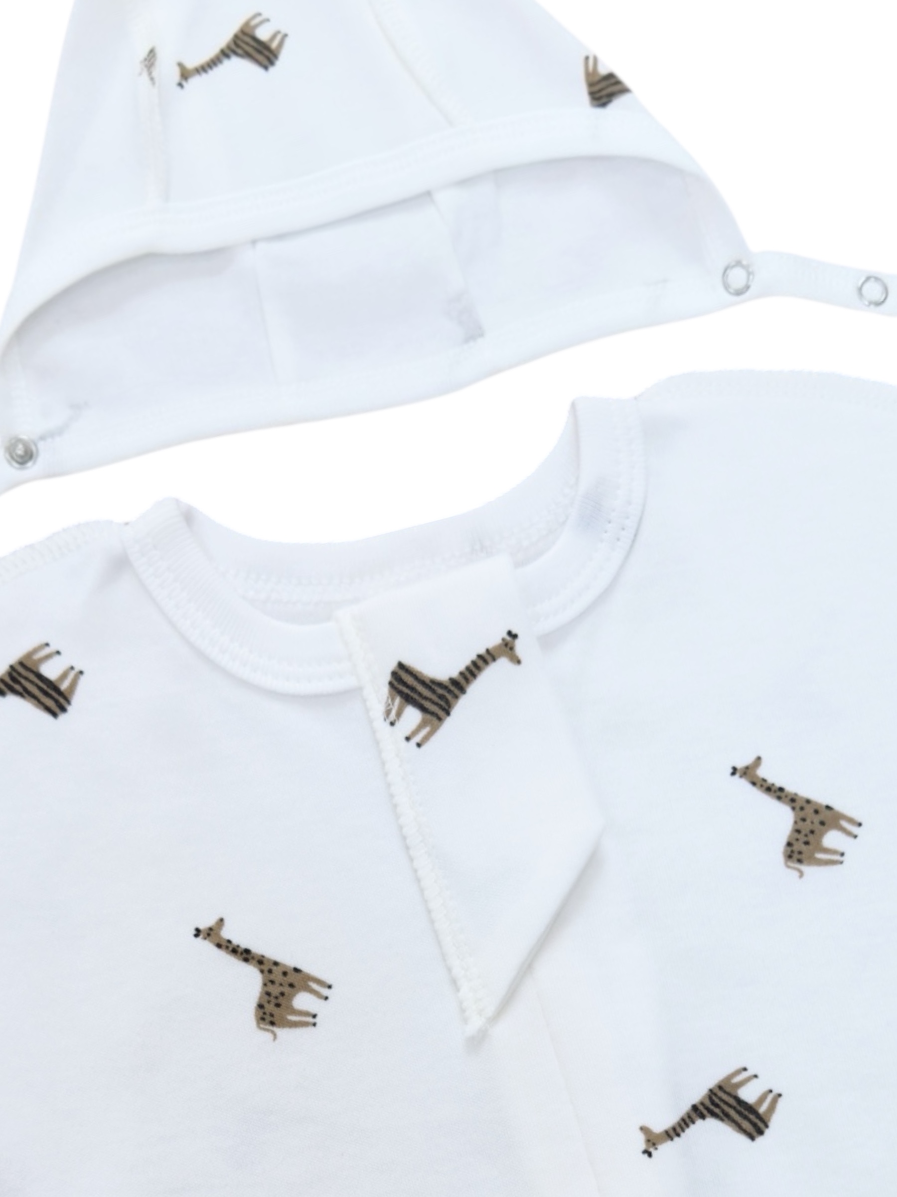 Photoroom_20250731_155703