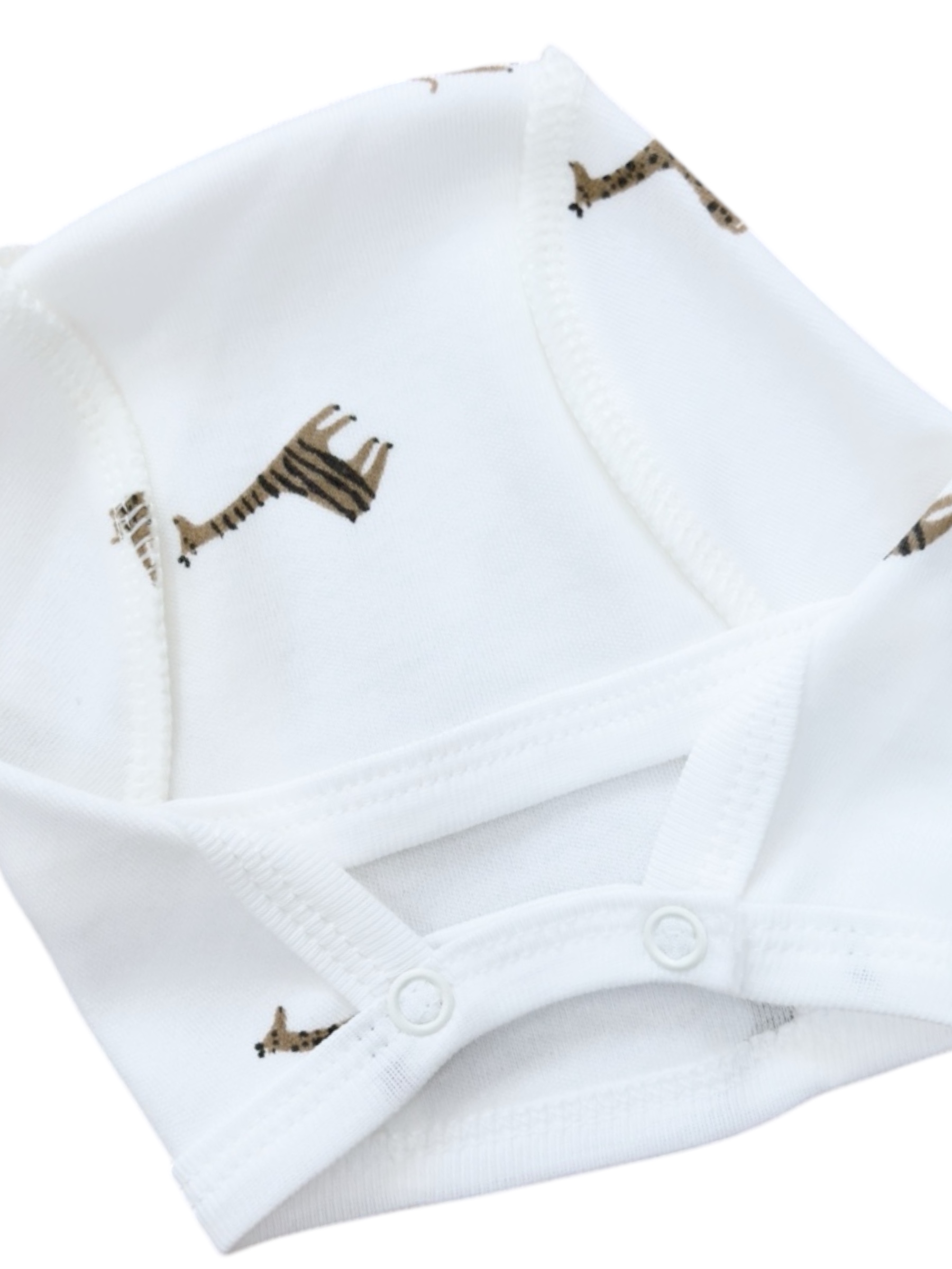 Photoroom_20250731_155850