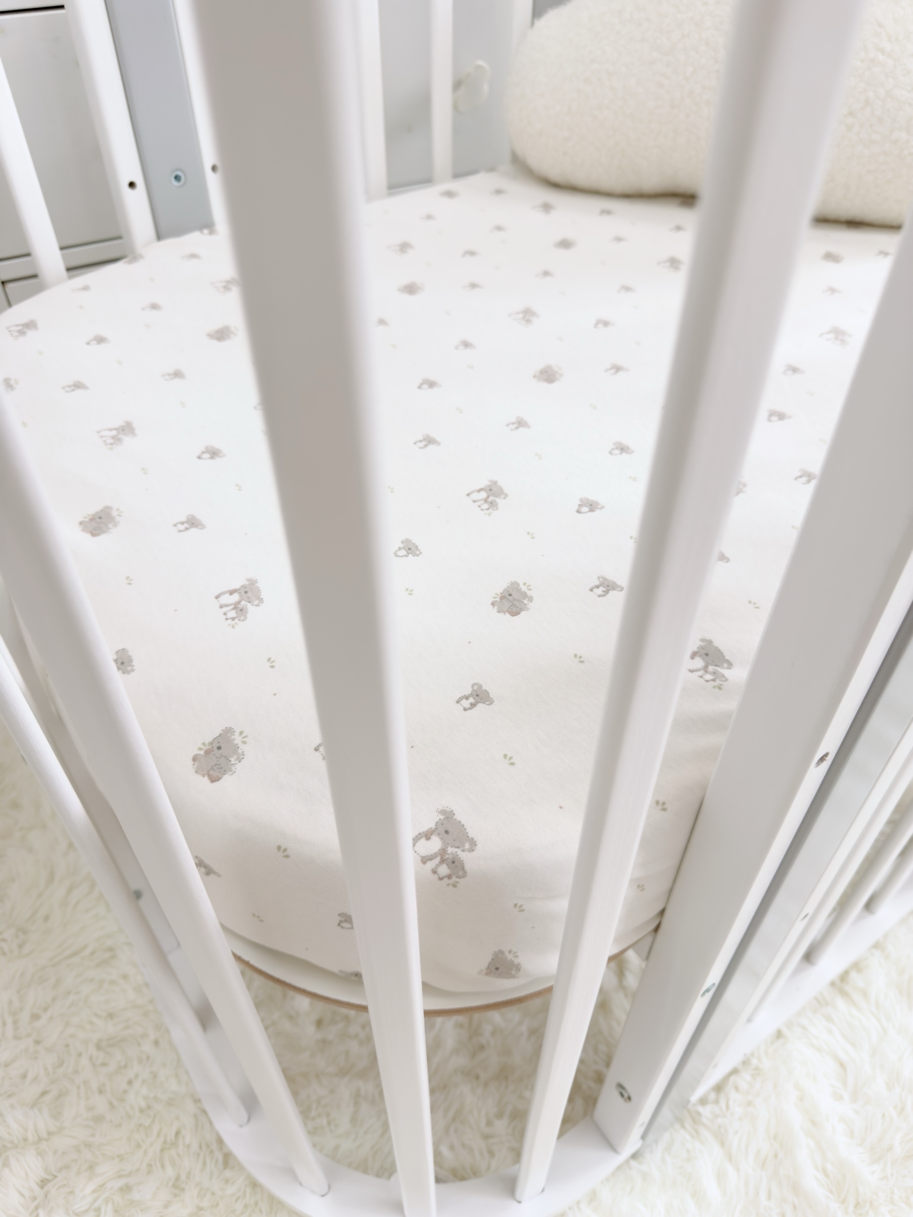 Photoroom_20250804_130033