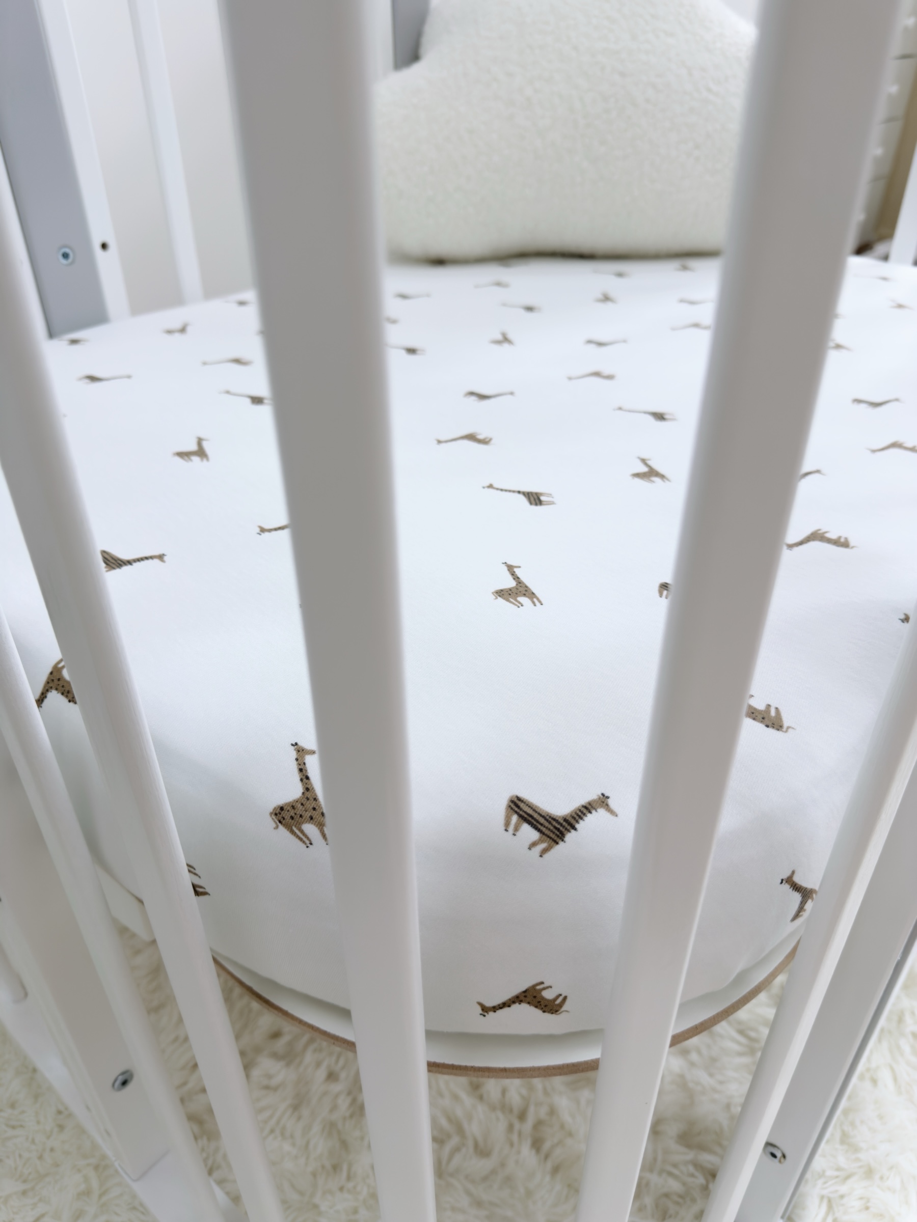 Photoroom_20250807_153812