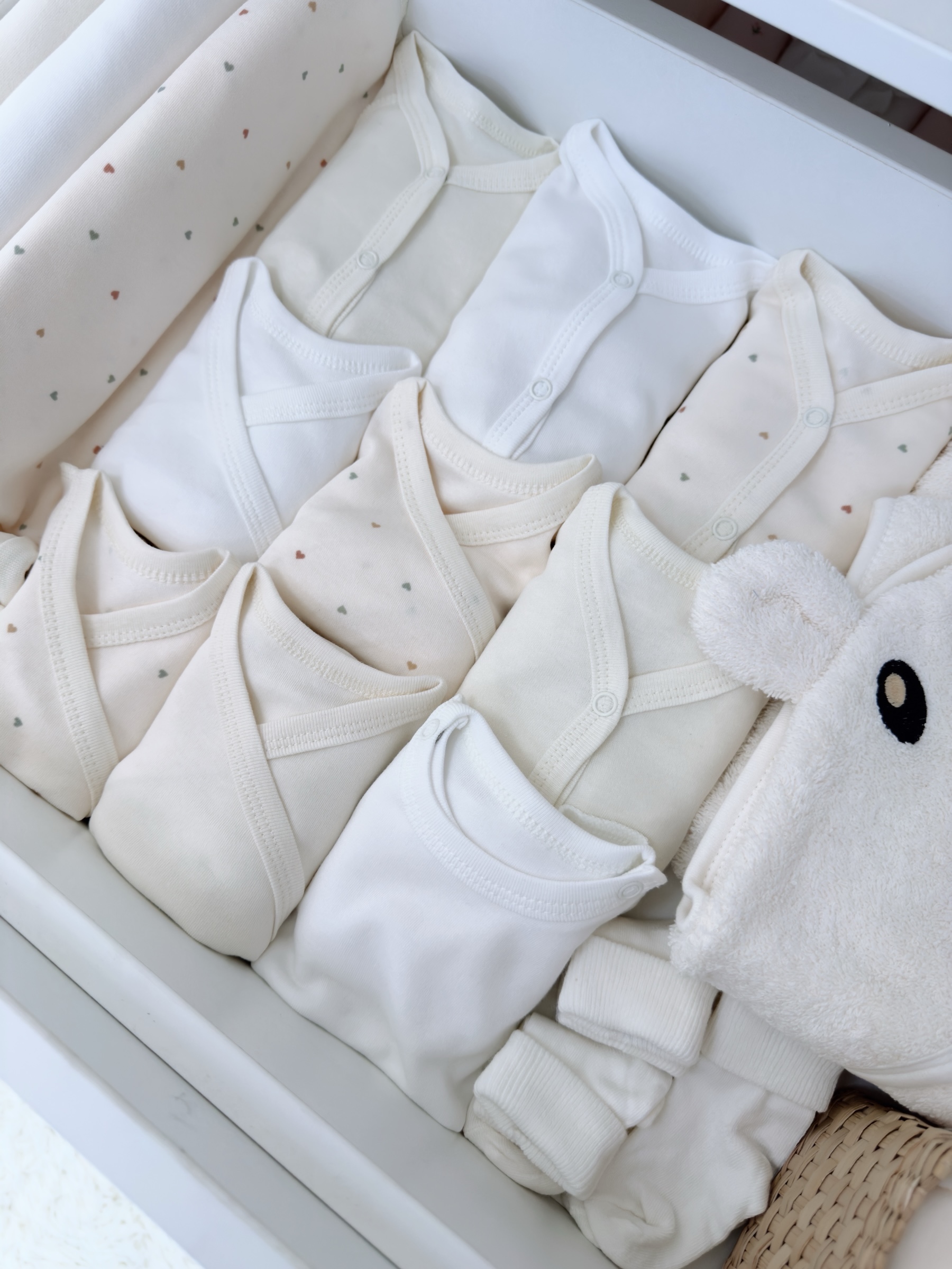 Photoroom_20250811_161222